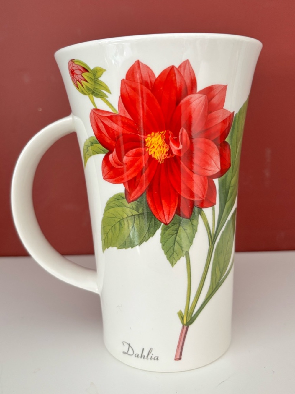VINTAGE Collectible BOTANICAL Dunoon Stoneware 18oz. Mug, Henley Style